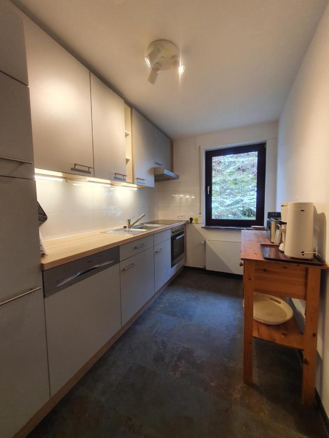 Grosses Ferienhaus Sauerburgblick Sauerthal ภายนอก รูปภาพ