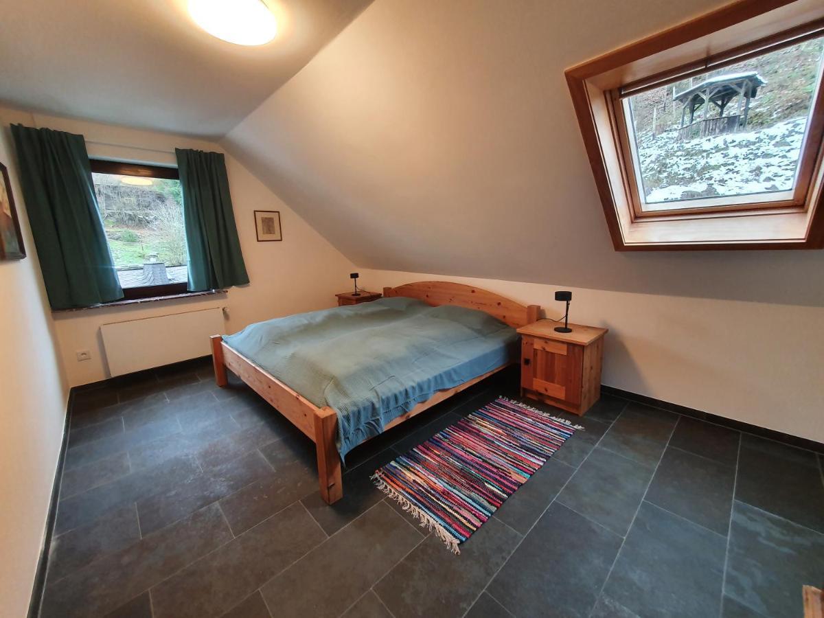 Grosses Ferienhaus Sauerburgblick Sauerthal ภายนอก รูปภาพ