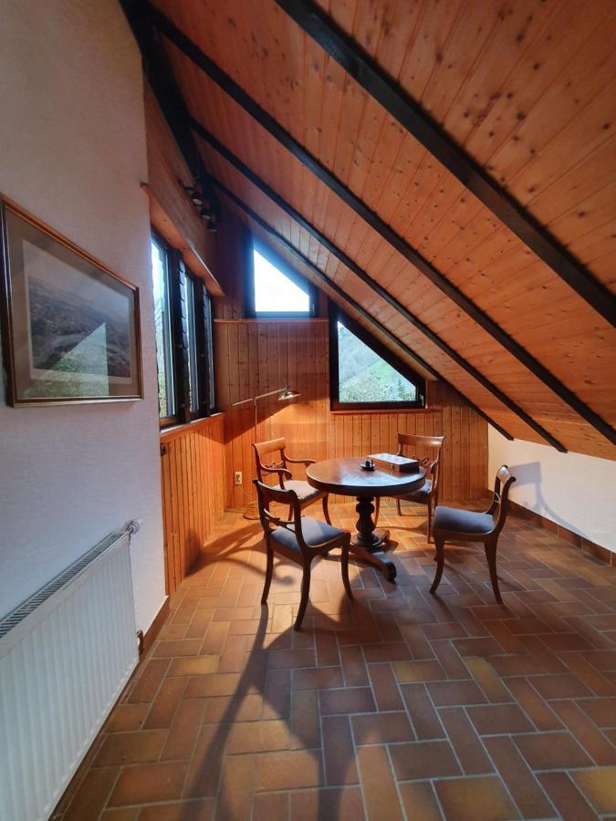 Grosses Ferienhaus Sauerburgblick Sauerthal ภายนอก รูปภาพ